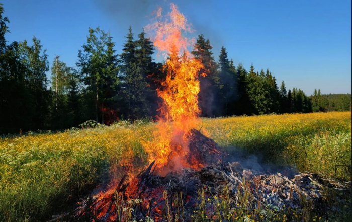 juhannuskokko pellon edessä