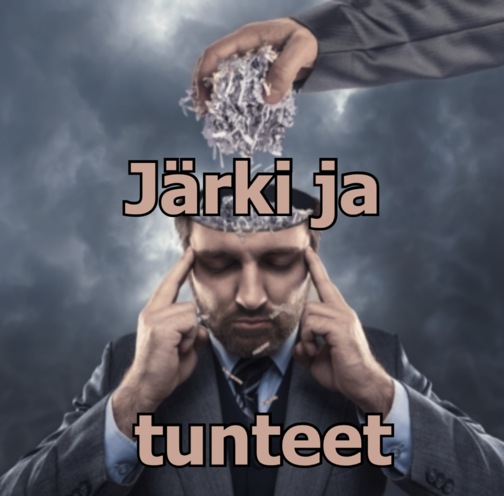 Järki ja tunteet